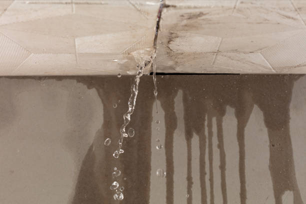 Professional Water Damage Restoration technician working in Whiteville, TN
